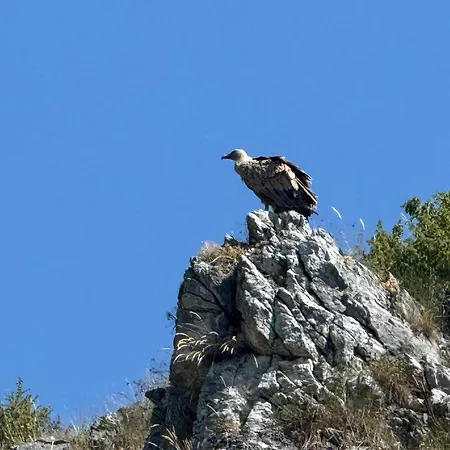 شقة Drveni Raj Uvac سينيتشا