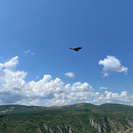 Drveni Raj Uvac Apartment *